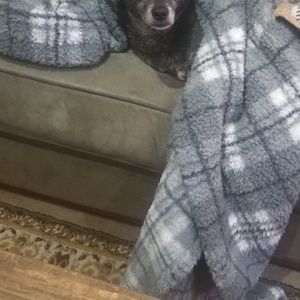 Meet your Posher, Ed